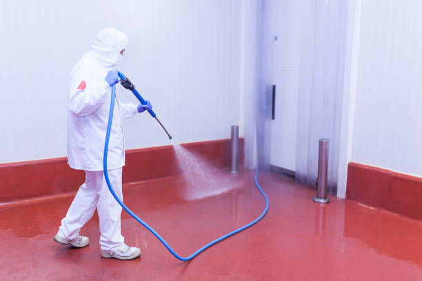 Best Warehouse Cleaning  in Lino Lakes, MN