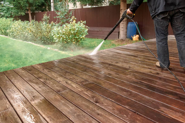 Best Animal Enclosure Cleaning  in Lino Lakes, MN